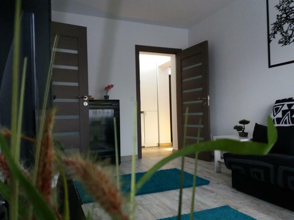 Apartament Elefant Tg. Ocna Leilighet Tîrgu Ocna Eksteriør bilde